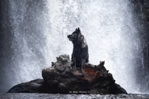 Alena GUIGNABODET - NA MOON PICTURES