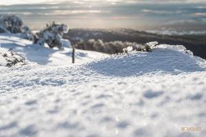 Guillain BOUQUET - GUILLAIN BOUQUET